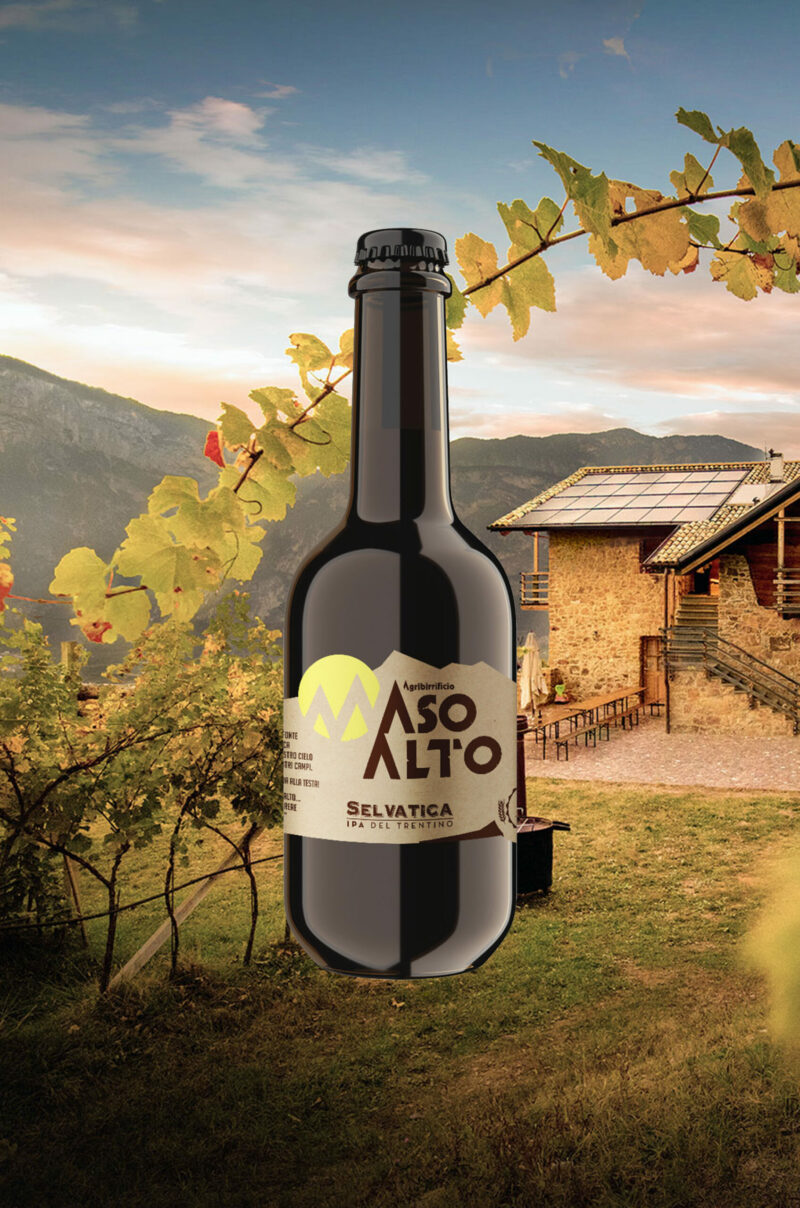 Selvatica è una birra biologica ad alta fermentazione. Non subisce nessun processo di filtrazione né chiarifica. È una birra viva dove i lieviti naturalmente presenti in bottiglia determinano una evoluzione del prodotto nel tempo.