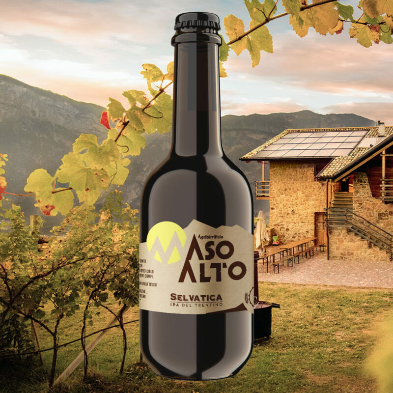 Selvatica è una birra biologica ad alta fermentazione. Non subisce nessun processo di filtrazione né chiarifica. È una birra viva dove i lieviti naturalmente presenti in bottiglia determinano una evoluzione del prodotto nel tempo.