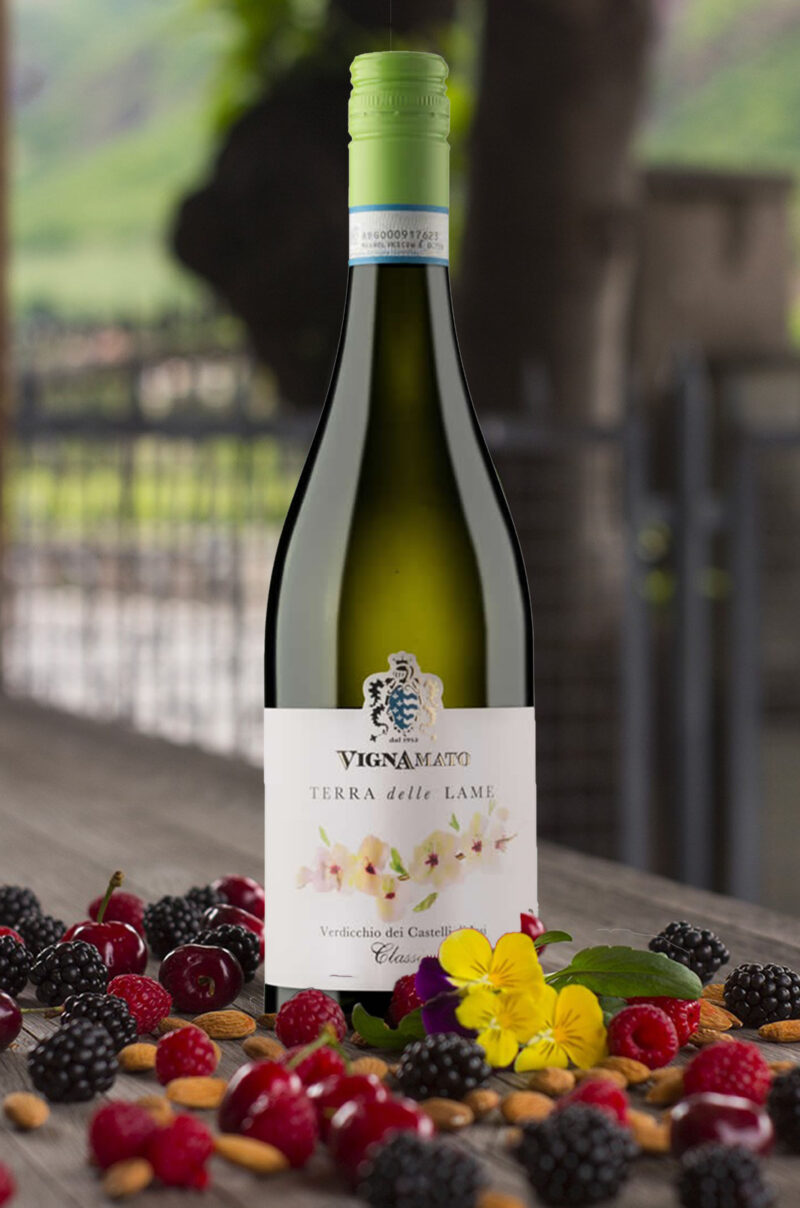 Verdicchio Terra delle Lame Vignamato - Antiche vene di acque solfuree con affioranti vulcanelli di fango, caratterizzano i terreni il Terra delle Lame. Da un’accurata selezione dei migliori grappoli dei vigneti situati a San Paolo di Jesi in contrada Battinebbia, Valle delle Lame e Follonica, si ottiene questo vino agrumato, sapido e di vibrante acidità, pura espressione della tipicità del Verdicchio. (vignamato.com) ABBINAMENTI: Splendido accompagnamento con ogni tipo di pesce, primi piatti, fritti e misti di carne. TEMPERATURA DI SERVIZIO 10°/12° C