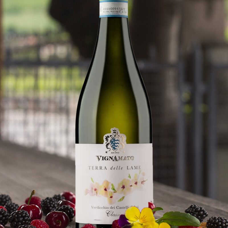 Verdicchio Terra delle Lame Vignamato - Antiche vene di acque solfuree con affioranti vulcanelli di fango, caratterizzano i terreni il Terra delle Lame. Da un’accurata selezione dei migliori grappoli dei vigneti situati a San Paolo di Jesi in contrada Battinebbia, Valle delle Lame e Follonica, si ottiene questo vino agrumato, sapido e di vibrante acidità, pura espressione della tipicità del Verdicchio. (vignamato.com) ABBINAMENTI: Splendido accompagnamento con ogni tipo di pesce, primi piatti, fritti e misti di carne. TEMPERATURA DI SERVIZIO 10°/12° C